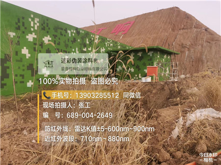 潍坊星空迷彩墙施工队