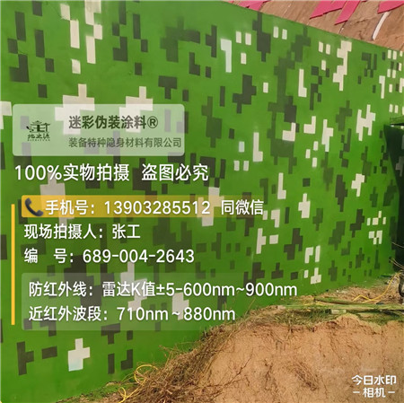 潍坊星空迷彩漆，夏令营训练,数码迷彩作训墙,围墙